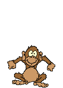 ape